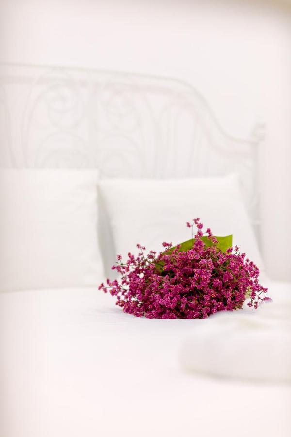 Casa Dos Doutores, A Cozy Apartment In Lisbon Luaran gambar